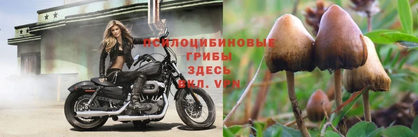 таблы Покров