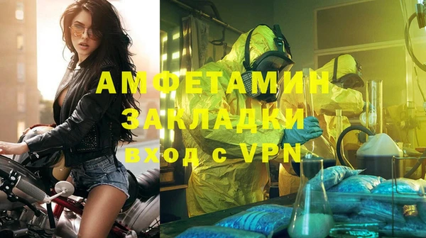 спиды Пересвет
