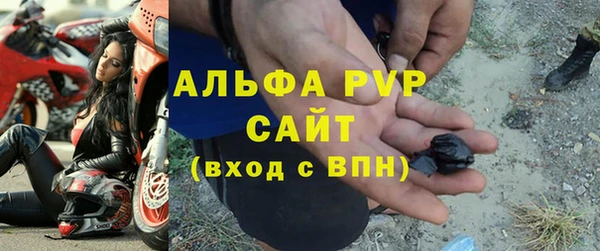 спиды Пересвет