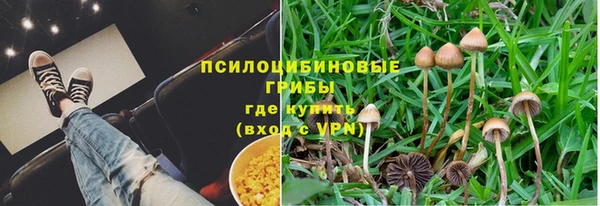 спиды Пересвет