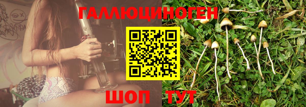 Псилоцибиновые грибы Psilocybe  цены   Стрежевой  Вход с VPN 
